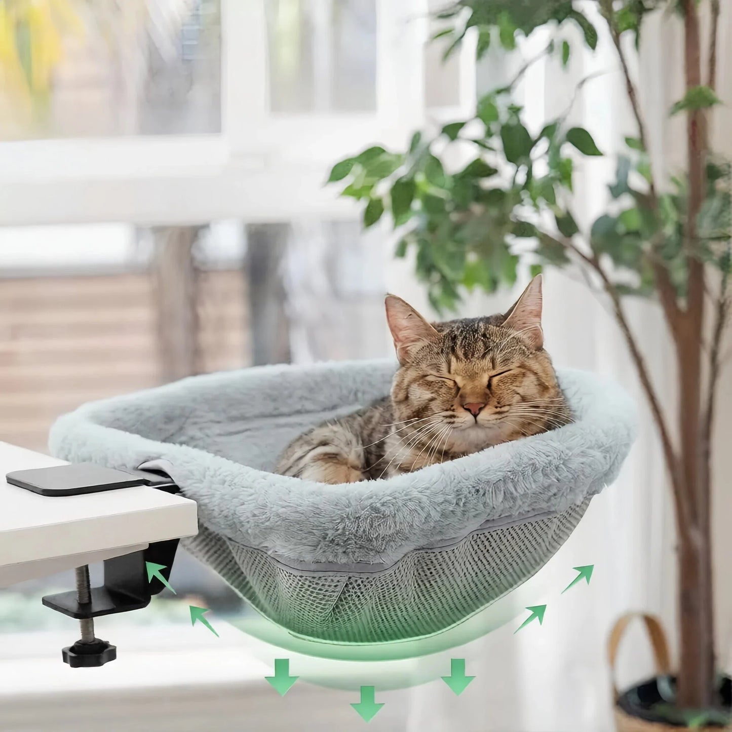 Purrnest Cozy